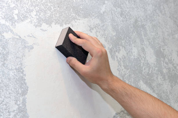 Best Post-Construction Mold Inspection  in Terrytown, LA