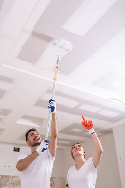 Terrytown, LA Mold Removal Company