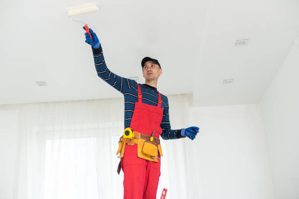 Best Mold Damage Restoration  in Terrytown, LA
