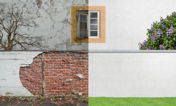 Best Emergency Mold Remediation  in Terrytown, LA