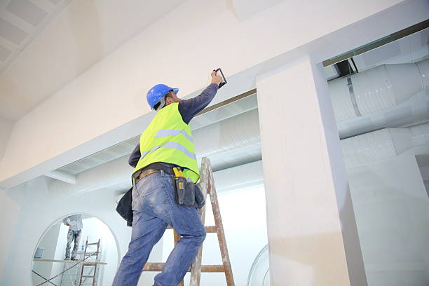 Best Forensic Mold Investigation  in Terrytown, LA